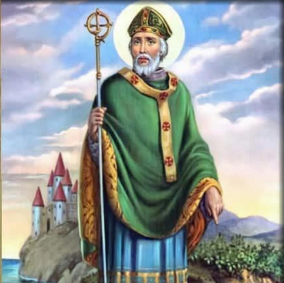 Welcome to St Patrick's